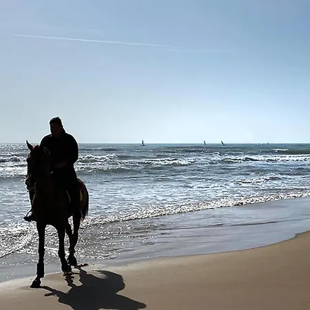 度假居 Sarino 莫迪卡